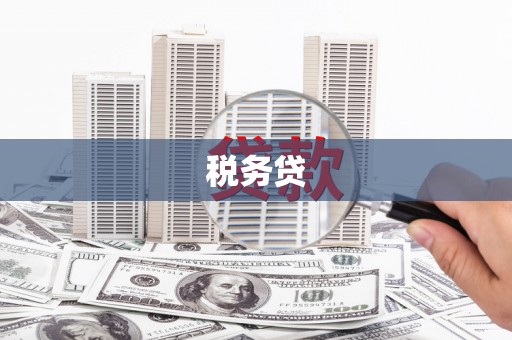 江川税务贷