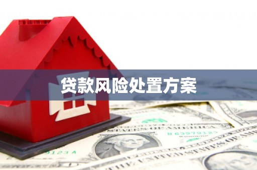 江川贷款风险处置方案
