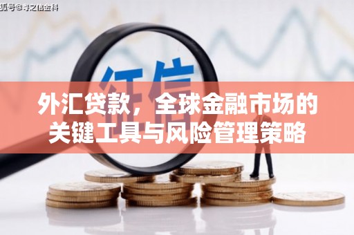江川外汇贷款，全球金融市场的关键工具与风险管理策略