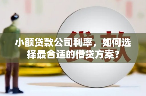 江川小额贷款公司利率，如何选择最合适的借贷方案？