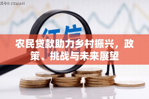江川农民贷款助力乡村振兴，政策、挑战与未来展望