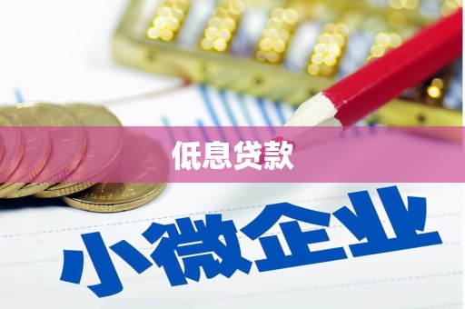 江川低息贷款