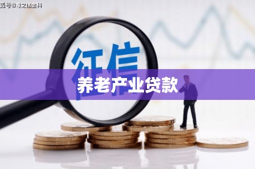 江川养老产业贷款