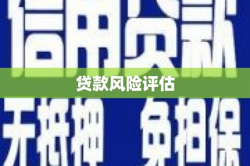 江川贷款风险评估