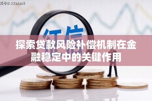 江川探索贷款风险补偿机制在金融稳定中的关键作用