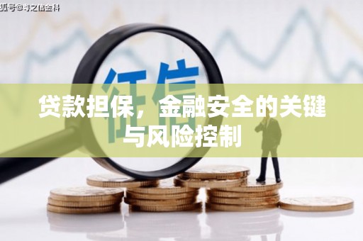 江川贷款担保，金融安全的关键与风险控制