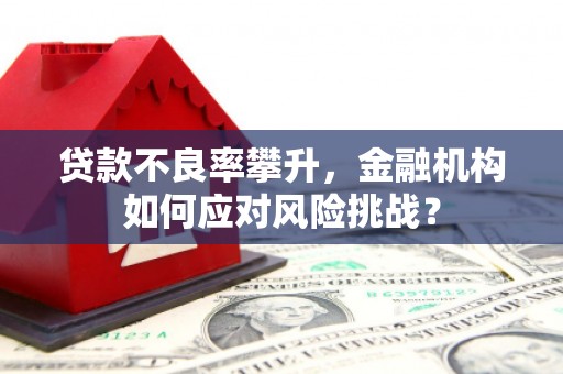 江川贷款不良率攀升，金融机构如何应对风险挑战？