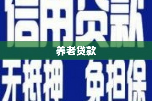 江川养老贷款