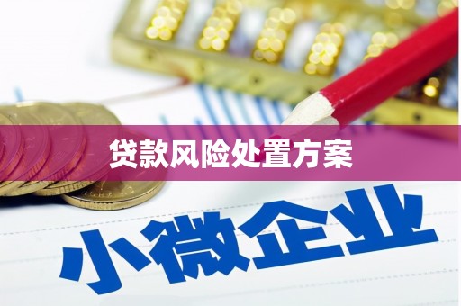 江川贷款风险处置方案