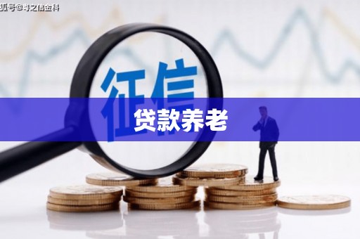 江川贷款养老