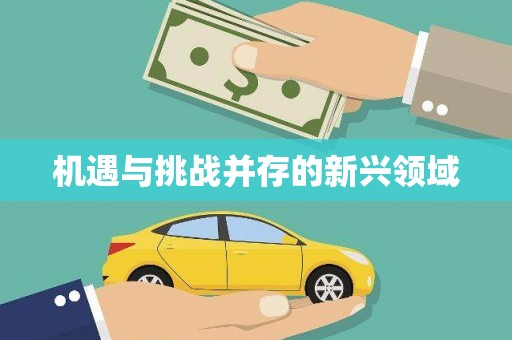 江川机遇与挑战并存的新兴领域