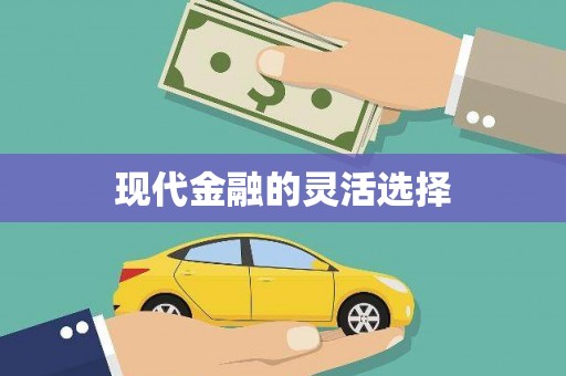江川现代金融的灵活选择