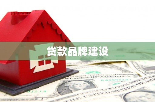 江川贷款品牌建设