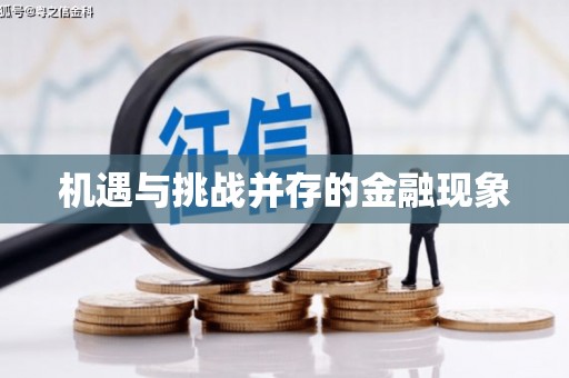 江川机遇与挑战并存的金融现象