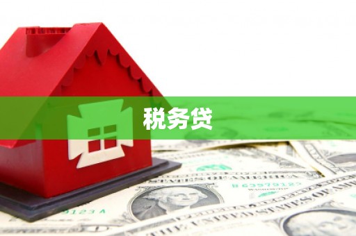 江川税务贷